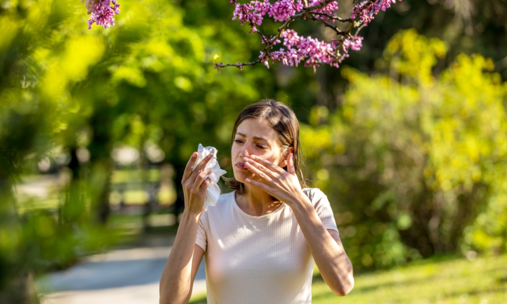 Mountain cedar, oak trees, grass pollen and ragweed representing common Central Texas seasonal allergy triggers